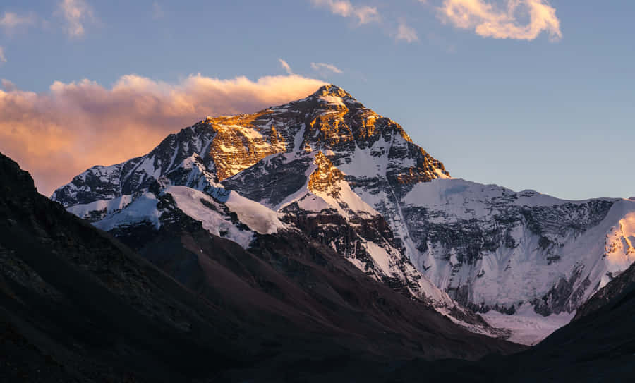 Best Nature Background