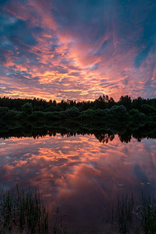 Best Nature Background