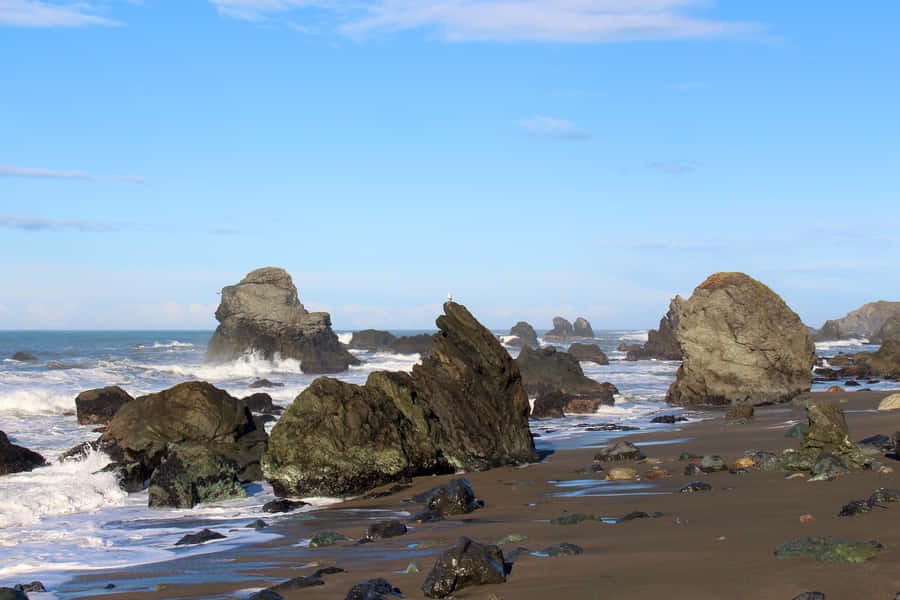 Best Nature Background