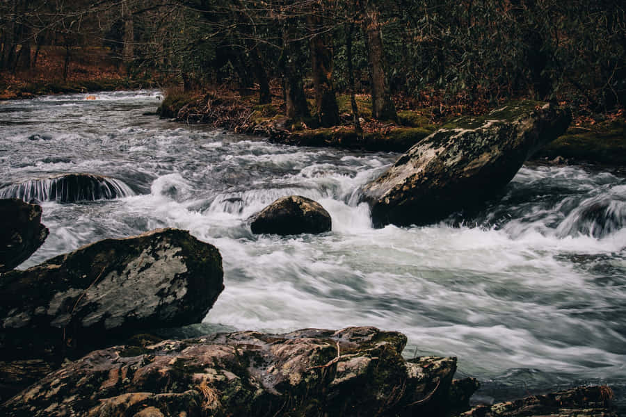 Best Nature Background