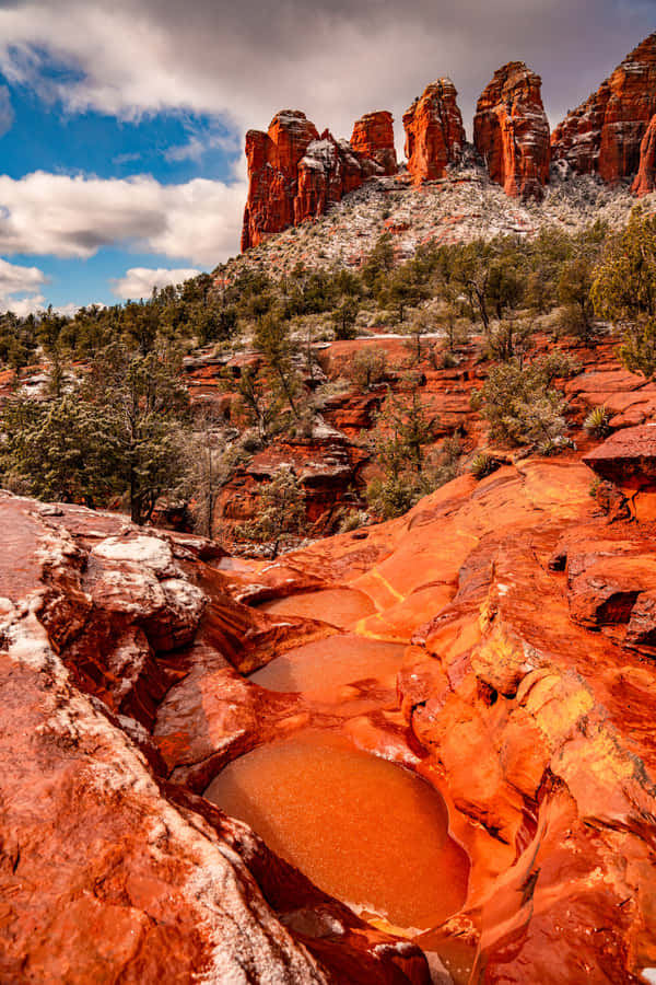 Best Nature Background