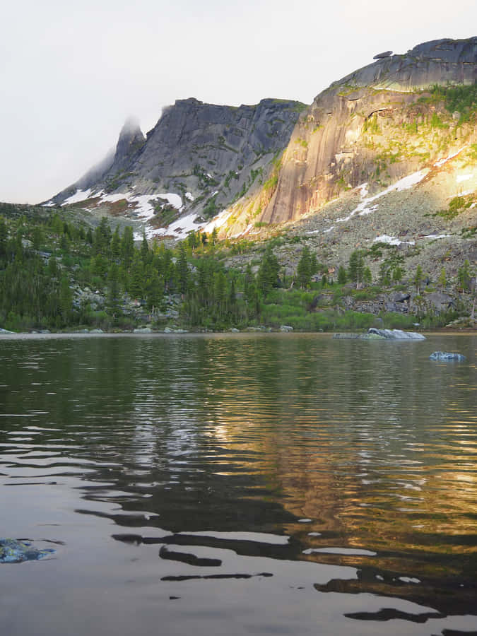 Best Nature Background