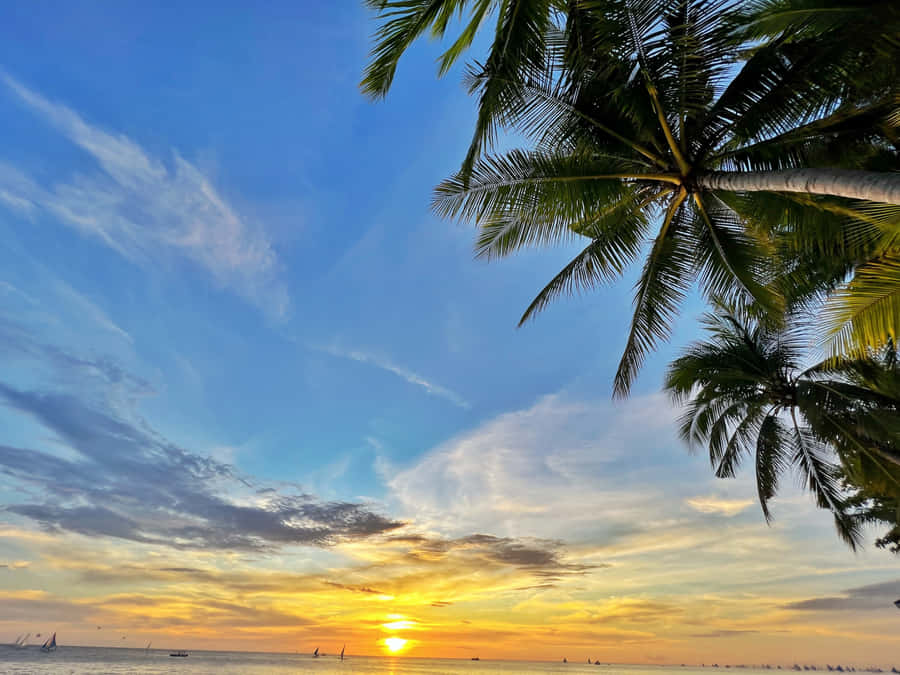 Best Nature Background
