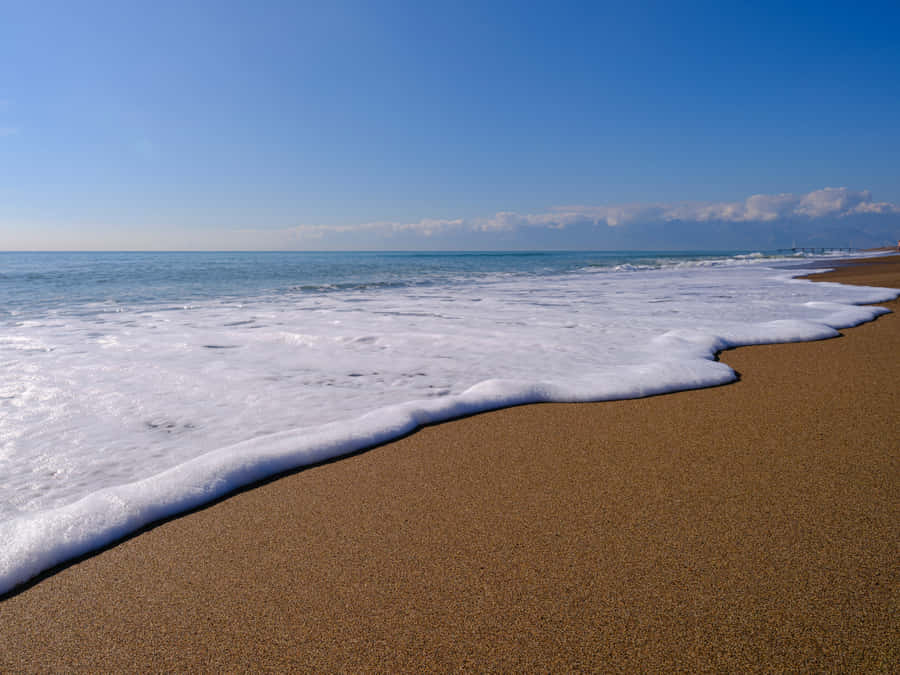 Best Nature Background