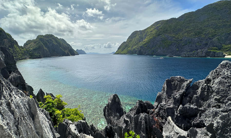 Best Nature Background