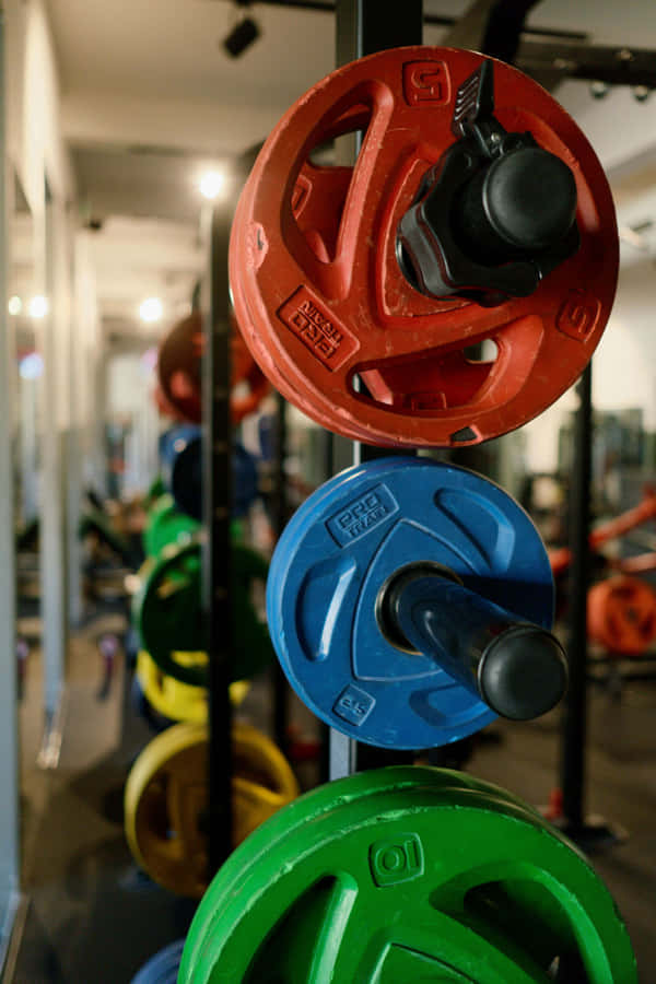 Colorful Gym Weight Plates