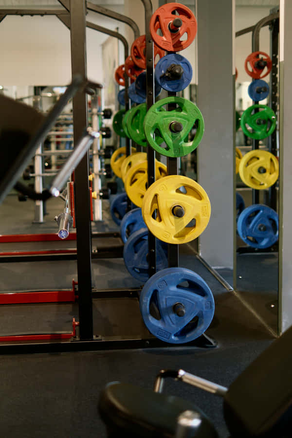 Colorful Gym Weight Plates Rack