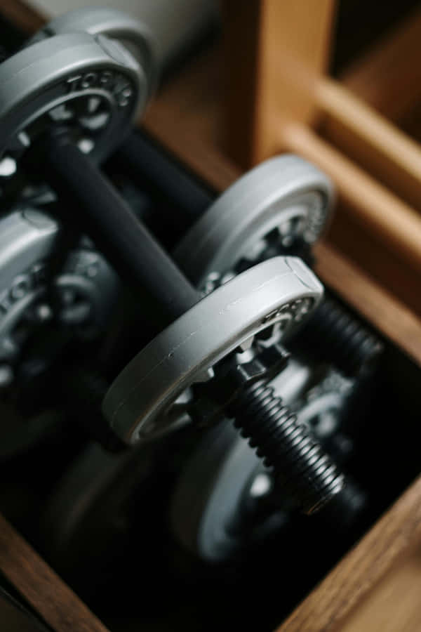 Dumbbellsin Wooden Rack Gym Aesthetic