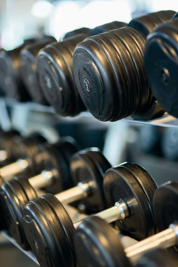 Gym Dumbbell Rack Focus