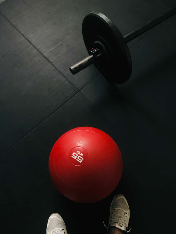 Gym Equipment Top View Barbelland Medicine Ball