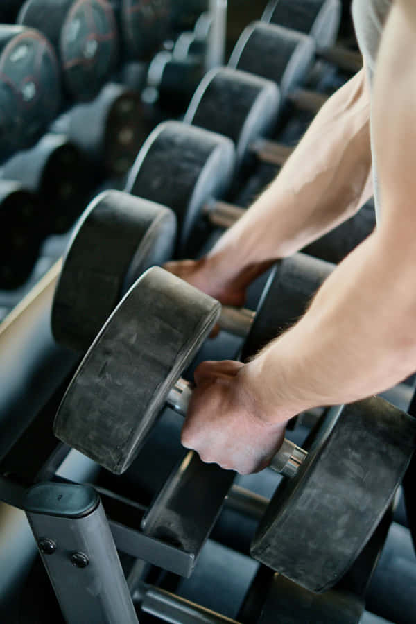 Gym Workout Dumbbell Selection Fitness