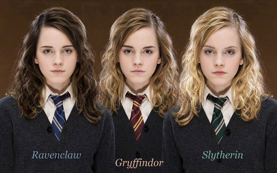 Gryffindor Hermione Granger Versions