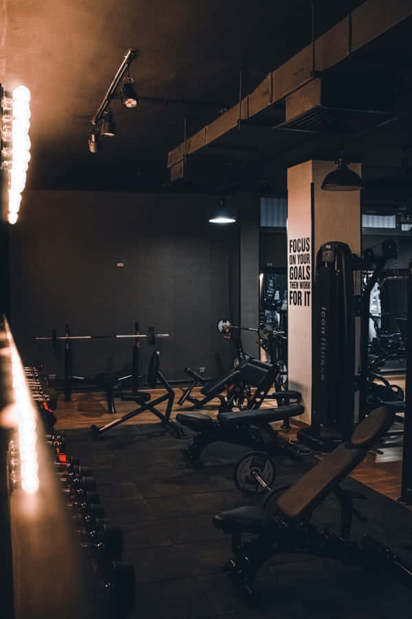 Modern Gym Interior Aesthetic