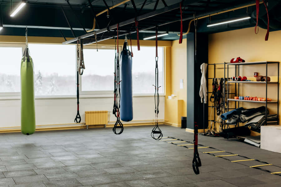Modern Gym Interiorwith Equipment.jpg