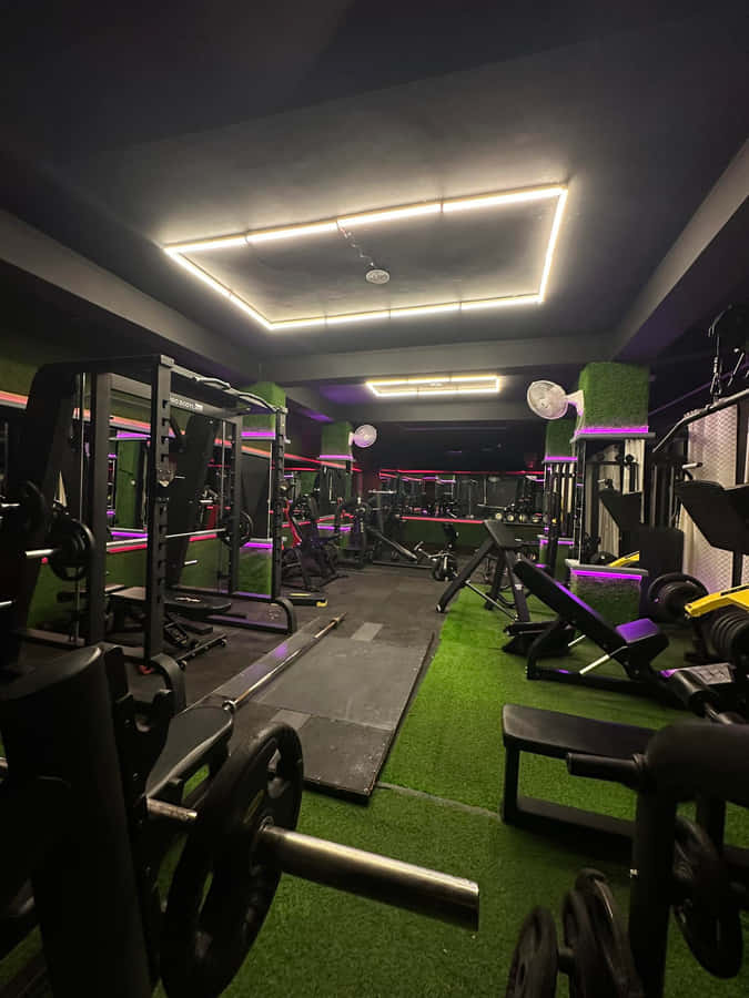 Modern Gym Interiorwith Neon Lights