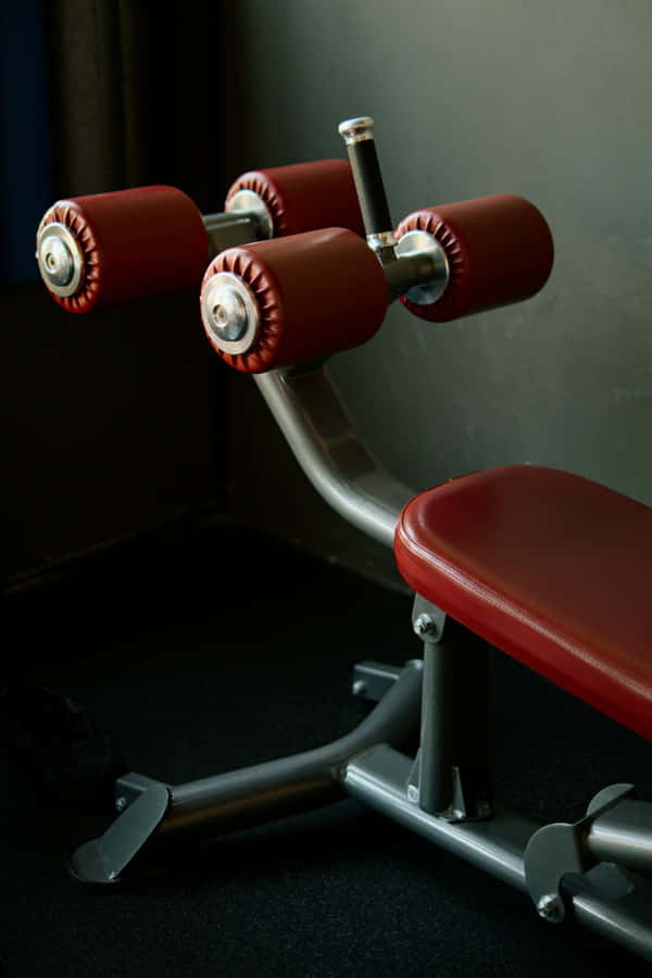 Red Gym Bench Equipment.jpg