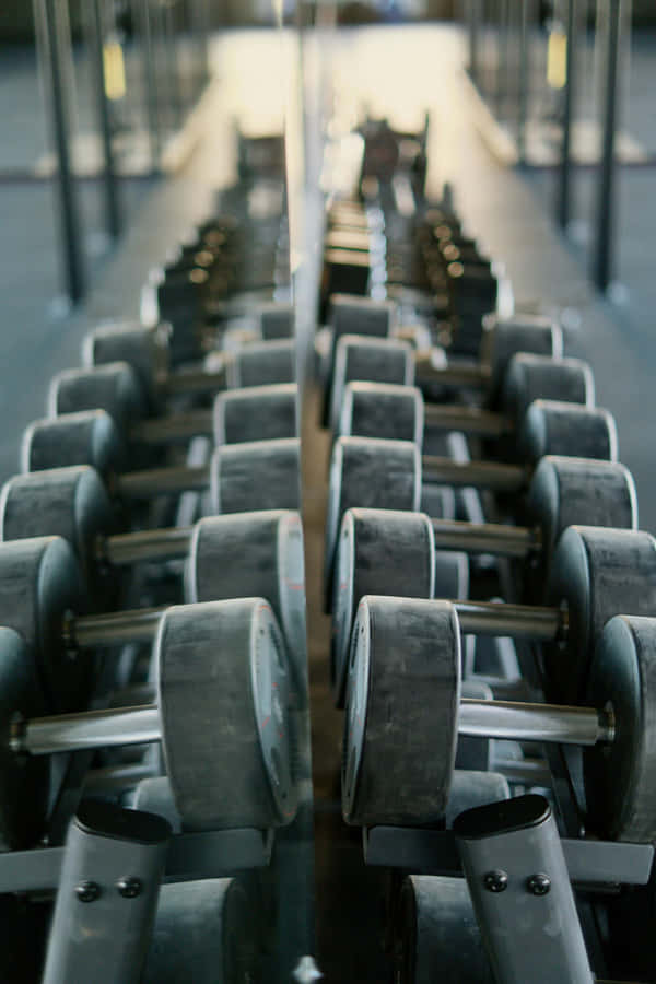Symmetrical Gym Dumbbells Row