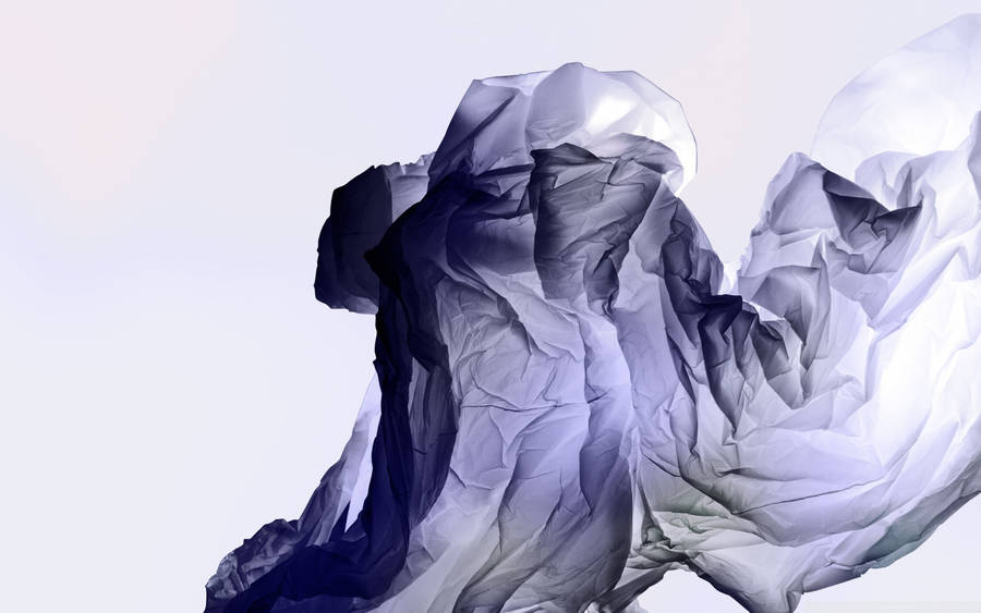 Expressive Texture of a Crumpled Paper